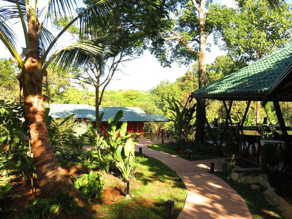 Oasis De Las Palmas Ojochal Dış mekan fotoğraf